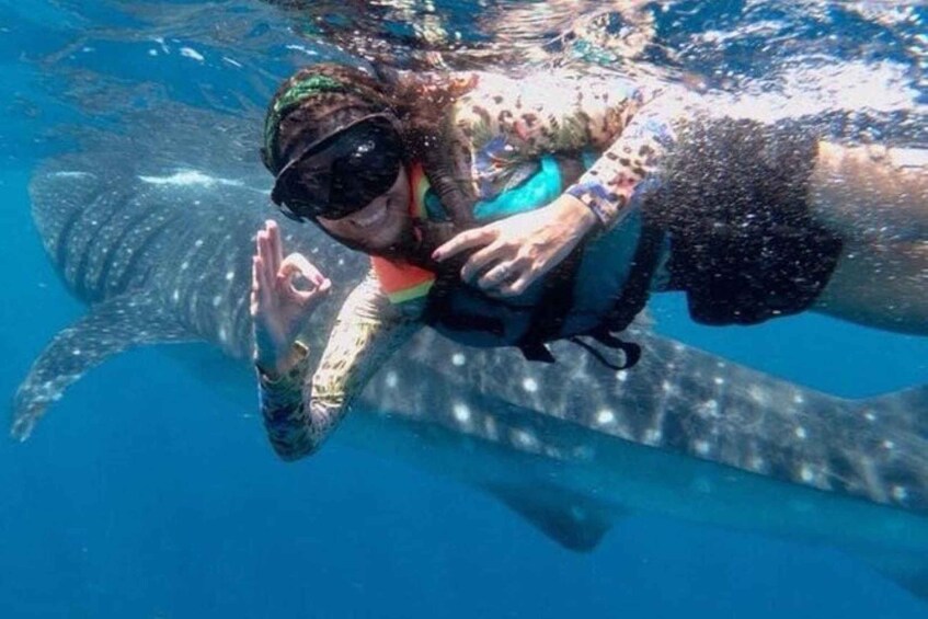 Picture 3 for Activity Playa del Carmen:Whale shark Experience in the Caribbean Sea 3