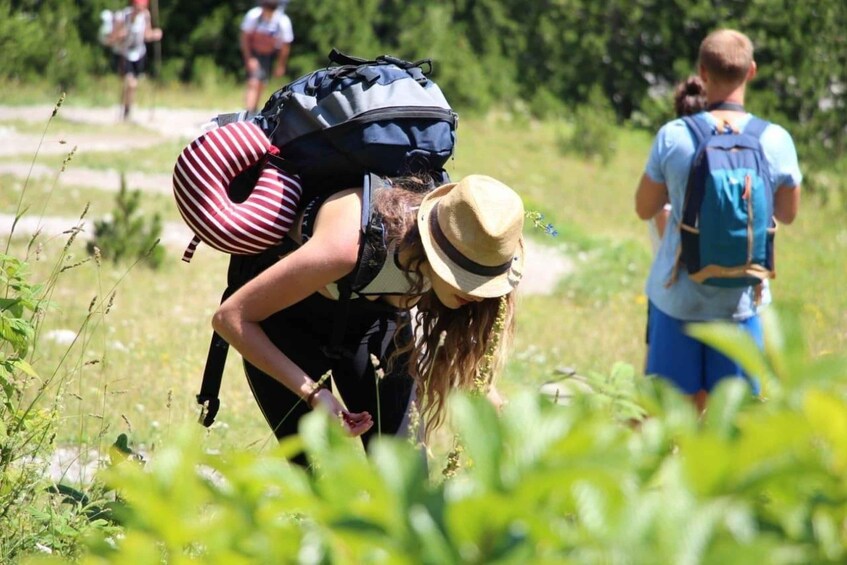 A person wearing a hat and carrying a backpack walking through a grassy field. 2