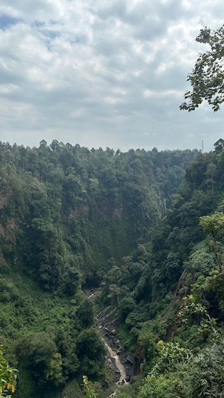 A lush valley with dense greenery, a waterfall, and a distant tower. 3