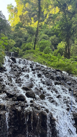A waterfall cascading over rocks in a forested area. 4