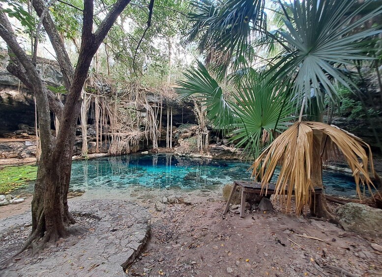 Discover the Serenity: A Tour of the Hidden Cenotes (PVT) 1