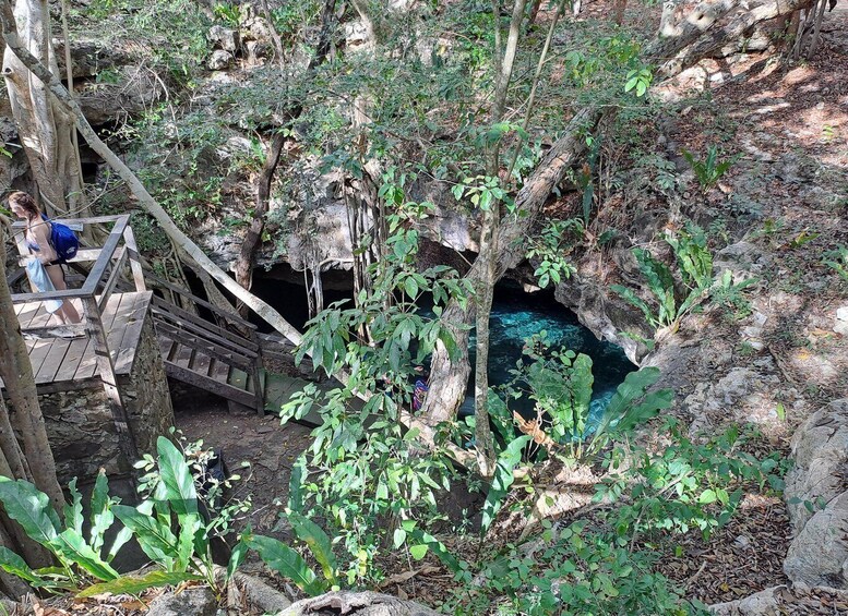Picture 4 for Activity Discover the Serenity: A Tour of the Hidden Cenotes (PVT) 4