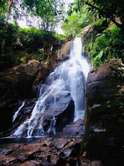 Picture 20 for Activity Sinharaja Rainforest: Waterfalls Tour with Local Guide 5