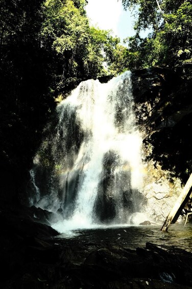 Picture 9 for Activity Sinharaja Rainforest: Waterfalls Tour with Local Guide 2
