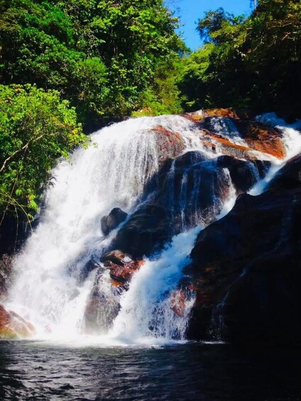 Picture 17 for Activity Sinharaja Rainforest: Waterfalls Tour with Local Guide 3
