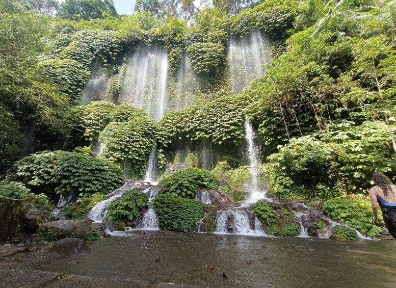 A waterfall surrounded by lush greenery. 2