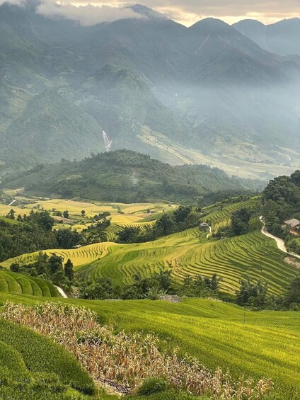 Terraced rice fields, a winding road, and a mountain range. 2