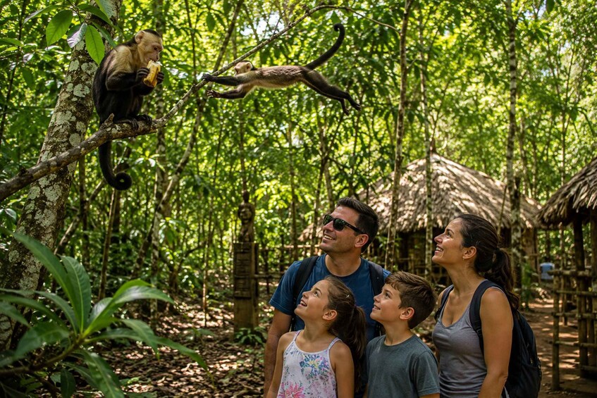 Picture 10 for Activity Punta Cana: Tour Monkey Adventure With Hotel Pick Up 4