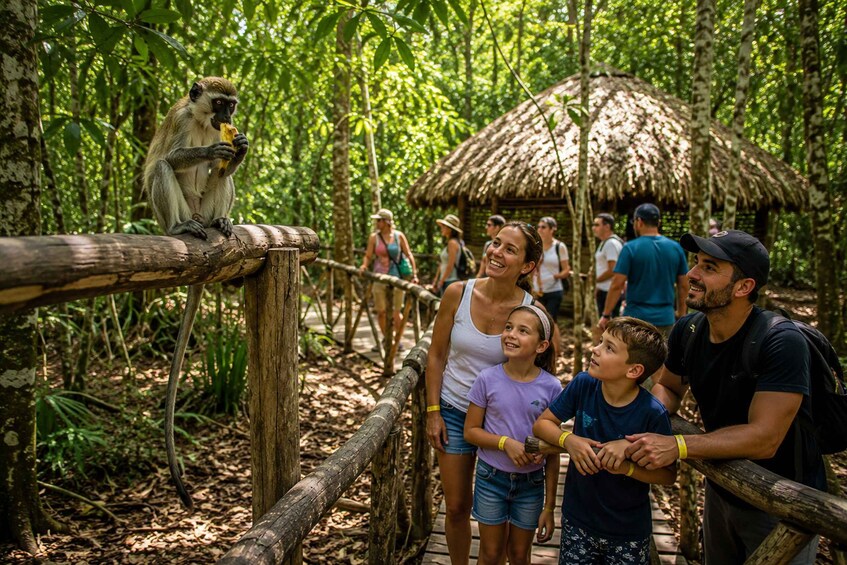 Punta Cana: Tour Monkey Adventure With Hotel Pick Up 1