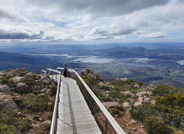 Picture 2 for Activity From Hobart: Mt Wellington Pinnacle 2 Hour Small Group Tour 5