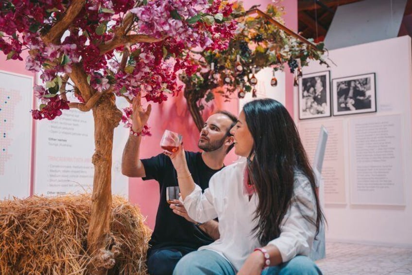 Porto: Pink Palace - Immersive Rosé Wine Museum with 5 Tastings 2