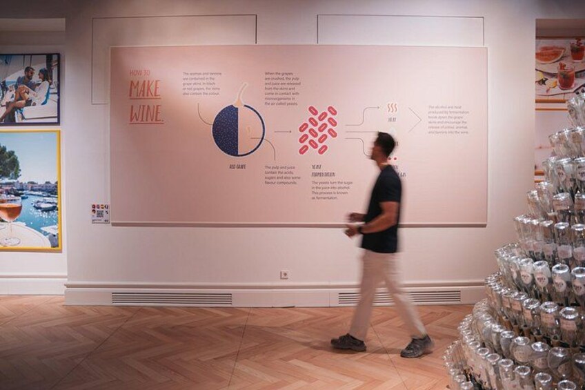 A person walking past a wine-making infographic in a gallery. 5