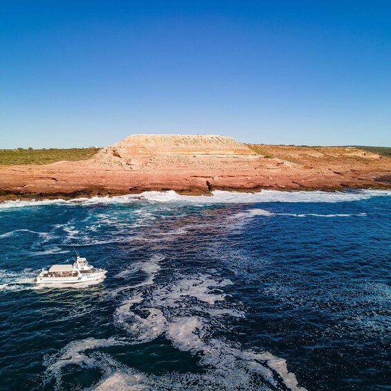Kalbarri: Sunset Cliff Cruise with Wildlife Spotting 1