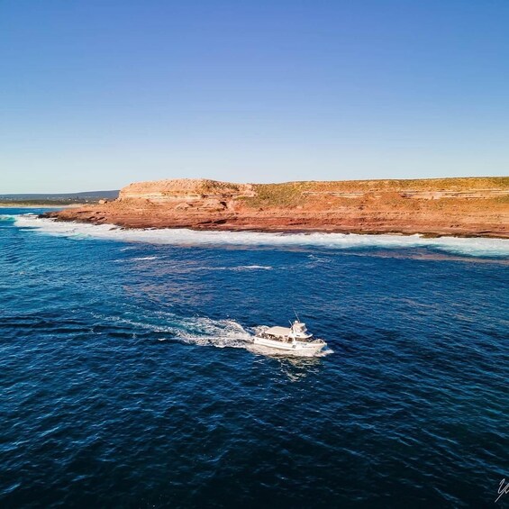Picture 9 for Activity Kalbarri: Sunset Cliff Cruise with Wildlife Spotting 2