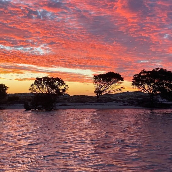 Picture 20 for Activity Kalbarri: Sunset Cliff Cruise with Wildlife Spotting 4