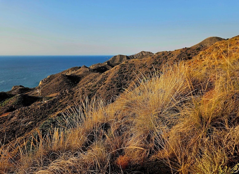 Picture 9 for Activity Mojácar/Vera: Coastal Mountain Hike with Spectacular Views 2