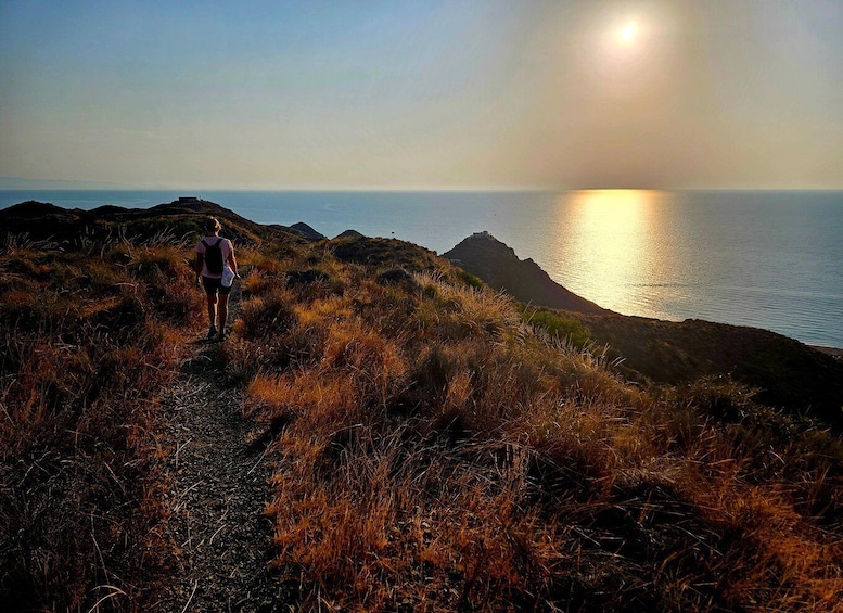 Picture 8 for Activity Mojácar/Vera: Coastal Mountain Hike with Spectacular Views 3