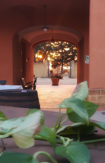 An outdoor seating area with a table and chairs, a potted plant, and a view of trees and a building in the background. 3
