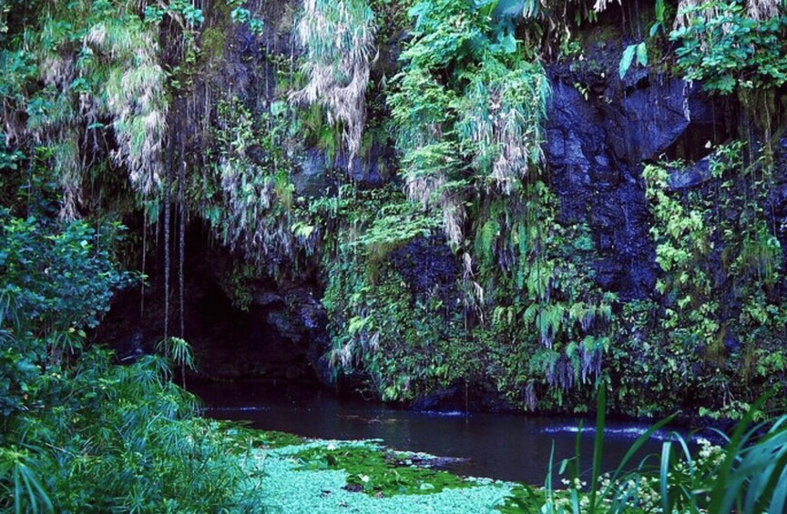 Picture 5 for Activity Tahiti : Tour de l'ile complet (Full Day) avec Presqu'île 5