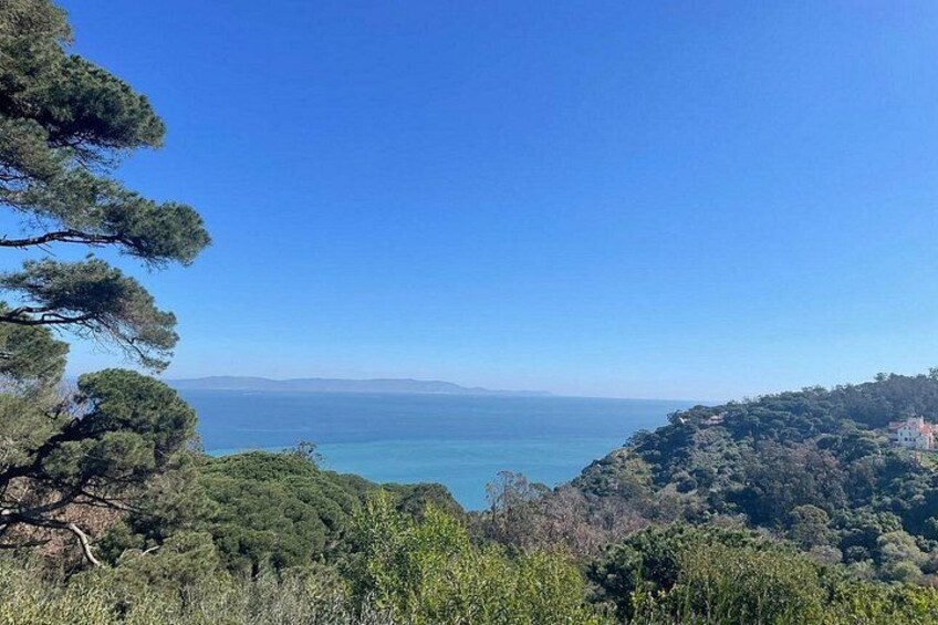 A coastal landscape with dense greenery, a clear blue sky, and a distant view of the sea. 2