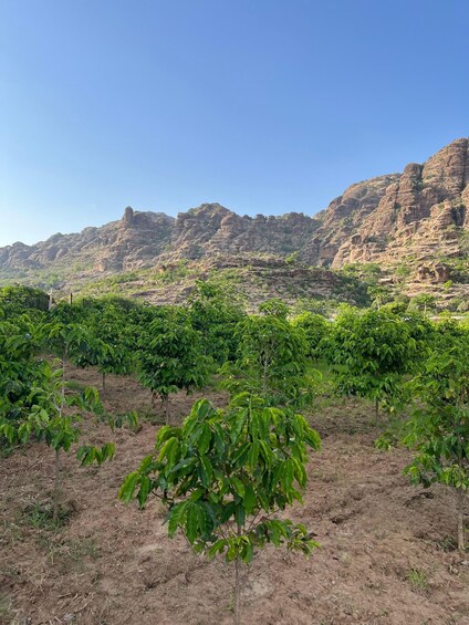 Picture 1 for Activity From Abha or Jazan: 3-Day AlReeth Adventure with Camping 3