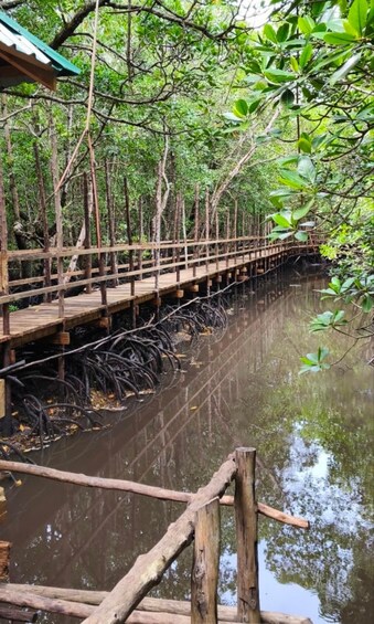 Picture 2 for Activity Zanzibar: Jozani forest, Butterfly center & Salaam cave tour 3