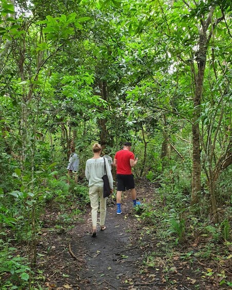 Picture 29 for Activity Zanzibar: Jozani forest, Butterfly center & Salaam cave tour 2