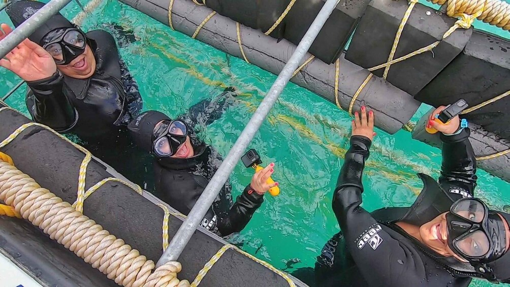 Picture 6 for Activity GANSBAAI: Shark and Crocodile Diving Combo 1