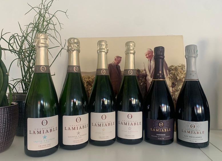 Picture 2 for Activity Tours-sur-Marne: Cellar Tour & Champagne Tasting 2
