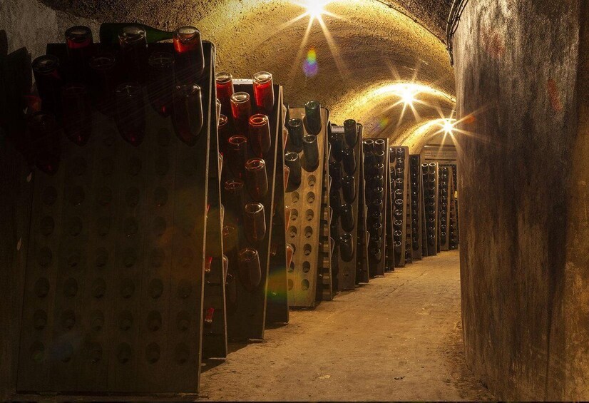 Picture 1 for Activity Tours-sur-Marne: Cellar Tour & Champagne Tasting 4