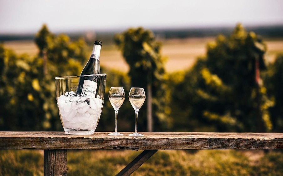 Tours-sur-Marne: Cellar Tour & Champagne Tasting 1
