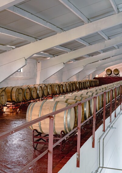 Picture 11 for Activity Douro: Martha's Welcome - Wine Tour and Tasting 5