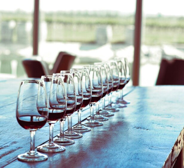 Wineries and Olive Trees Tour - Mendoza 1