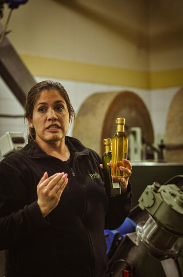 Picture 8 for Activity Wineries and Olive Trees Tour - Mendoza 4