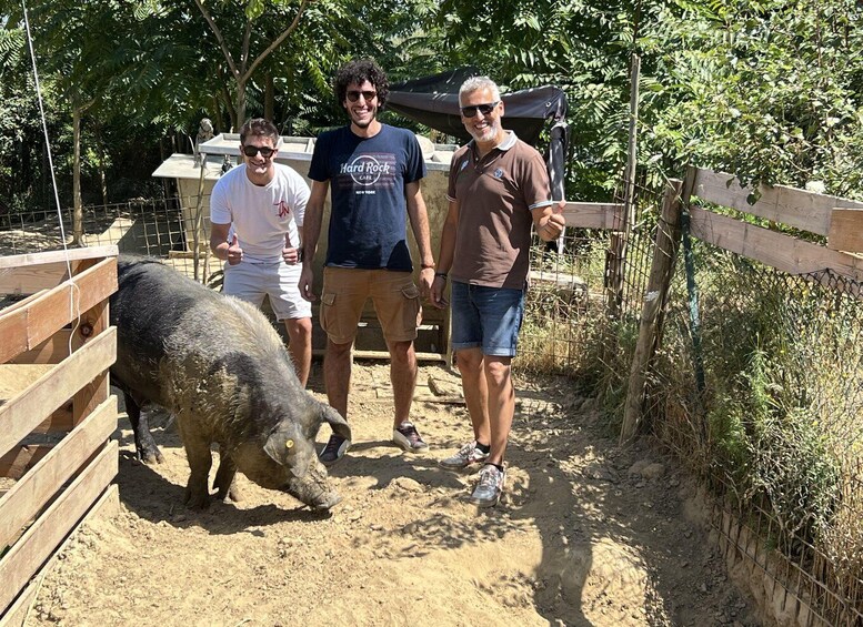 Picture 1 for Activity Montepulciano: Pig Farm Tour with Traditional Lunch 4