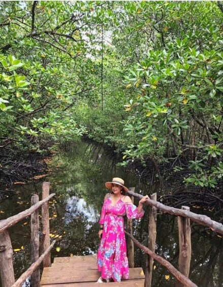 A person standing on a wooden bridge in a forested area with dense green foliage. 4