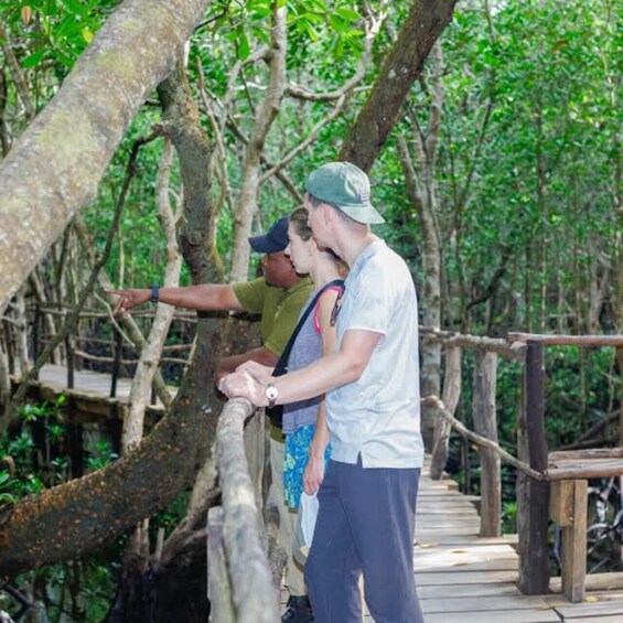A group of people on a wooden bridge in a mangrove forest. 5