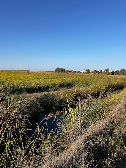 A rural landscape with a field, a small water body, and distant buildings. 5