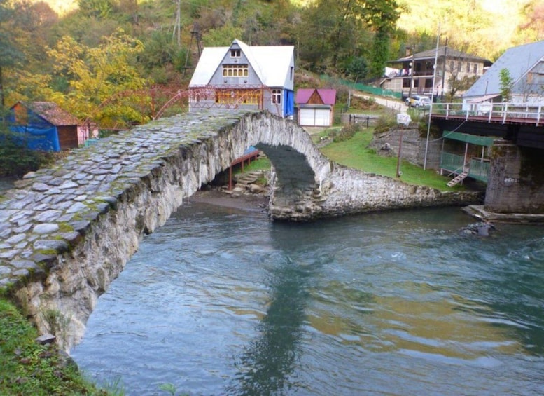 A stone bridge over a river, surrounded by houses and greenery. 5