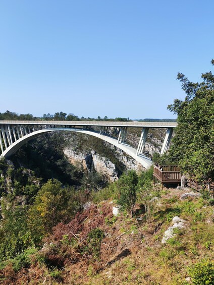 Picture 2 for Activity 1 Day Garden Route Tour: From Port Elizabeth to the Crags 4
