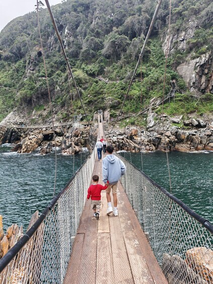 Picture 29 for Activity 1 Day Garden Route Tour: From Port Elizabeth to the Crags 2
