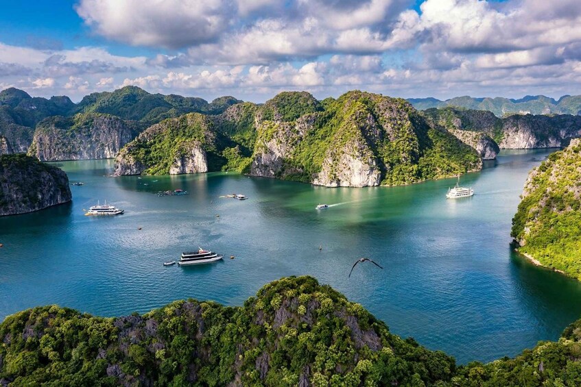 A coastal landscape with green hills and calm waters. 1
