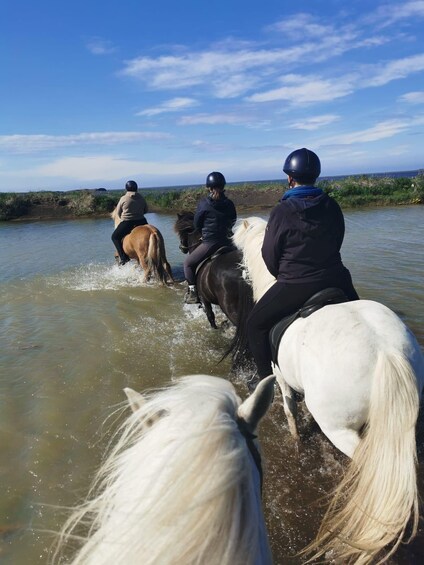 Picture 5 for Activity southern Iceland: Black beach riding tour 5