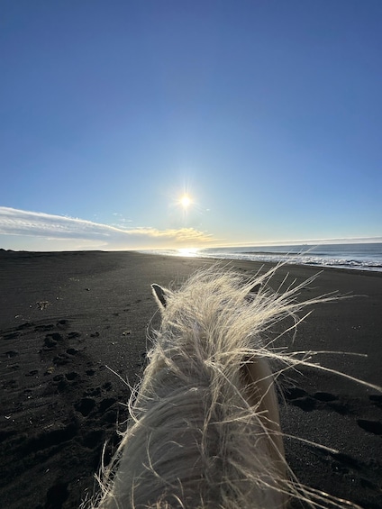 Picture 4 for Activity southern Iceland: Black beach riding tour 4