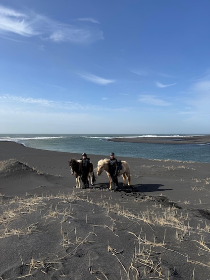 Picture 6 for Activity southern Iceland: Black beach riding tour 3