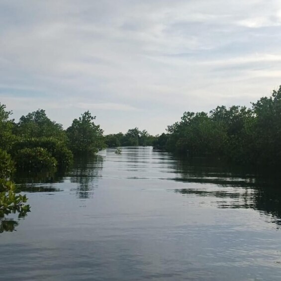 Picture 19 for Activity ZANZIBAR:Jozani Forest, Mangrove Kayaking, Village Adventure 3