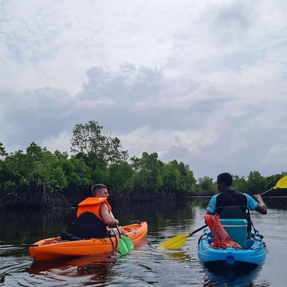 Picture 15 for Activity THE GREEN TOUR: Jozani Forest & Mangrove Kayaking Experience 5