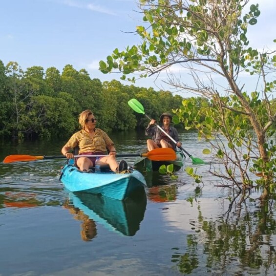 ZANZIBAR:Jozani Forest, Mangrove Kayaking, Village Adventure 1