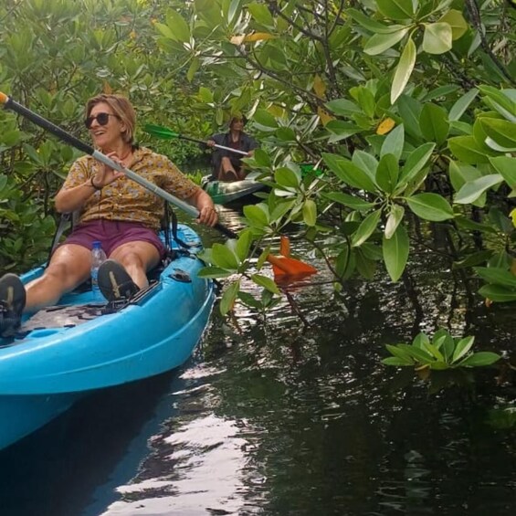 Picture 2 for Activity ZANZIBAR:Jozani Forest, Mangrove Kayaking, Village Adventure 4
