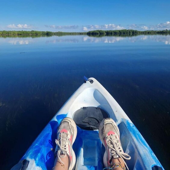 Picture 42 for Activity THE GREEN TOUR: Jozani Forest & Mangrove Kayaking Experience 4